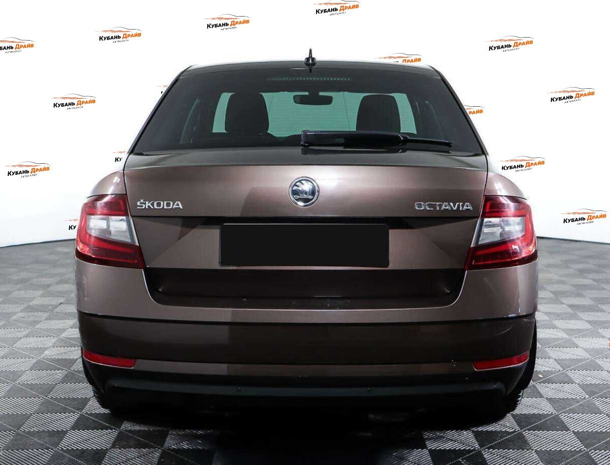 Skoda Octavia 2018 года с пробегом. Фото: #5
