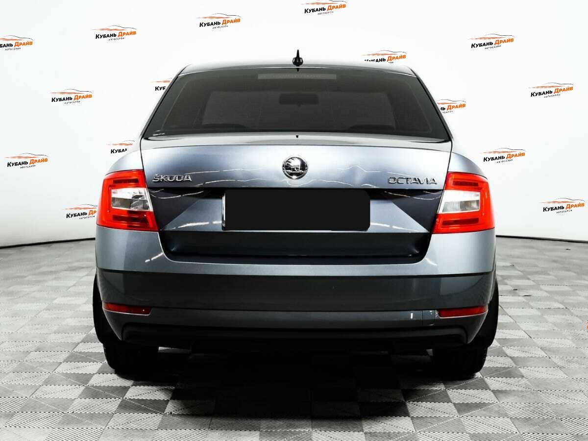 Skoda Octavia 2019 года с пробегом. Фото: #5