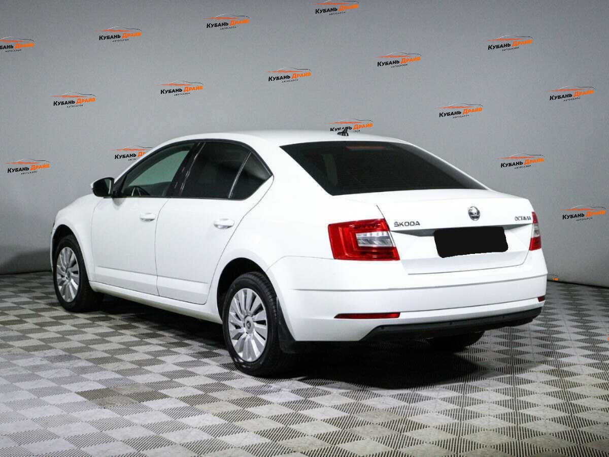 Skoda Octavia 2019 года с пробегом. Фото: #6