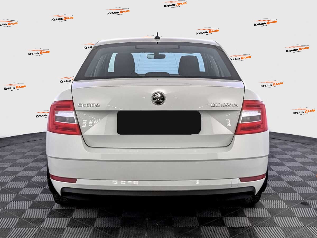 Skoda Octavia 2019 года с пробегом. Фото: #5