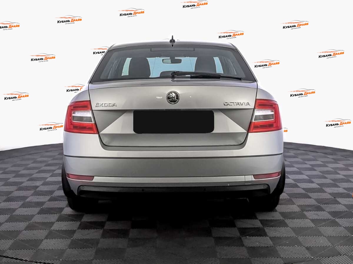 Skoda Octavia 2020 года с пробегом. Фото: #5