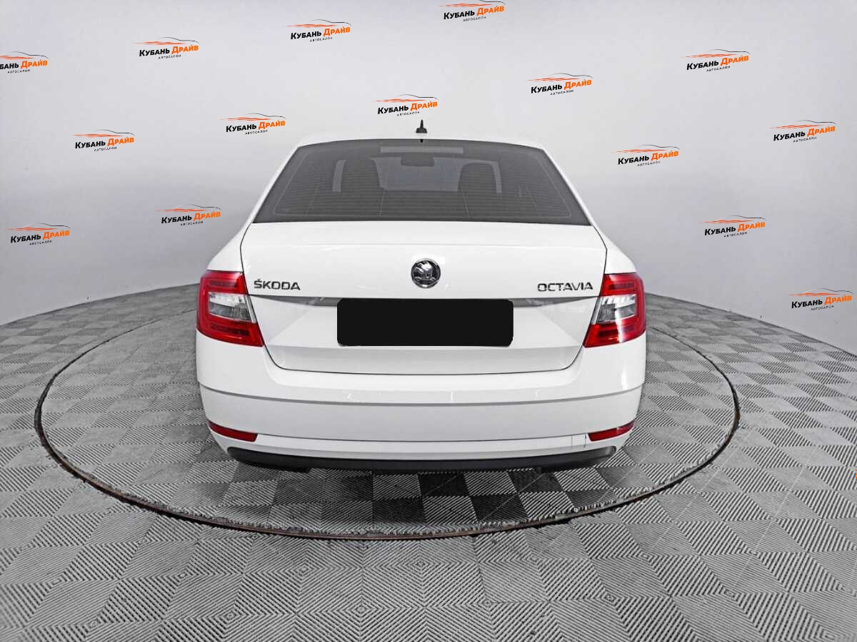 Skoda Octavia 2019 года с пробегом. Фото: #5