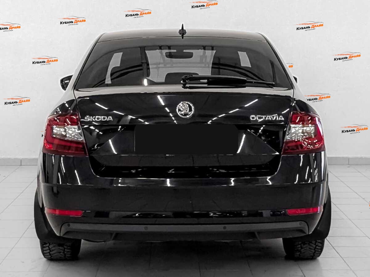 Skoda Octavia 2019 года с пробегом. Фото: #5