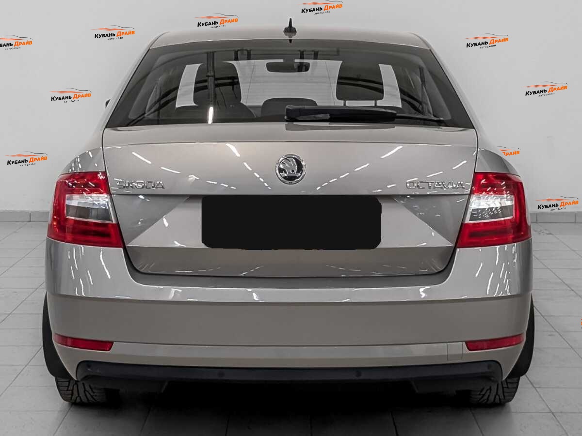 Skoda Octavia 2020 года с пробегом. Фото: #5