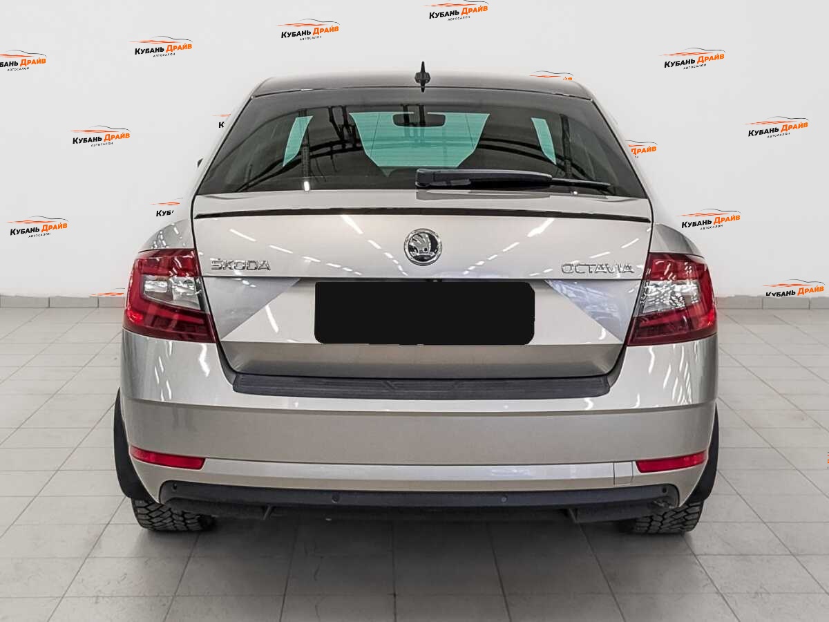 Skoda Octavia 2019 года с пробегом. Фото: #5