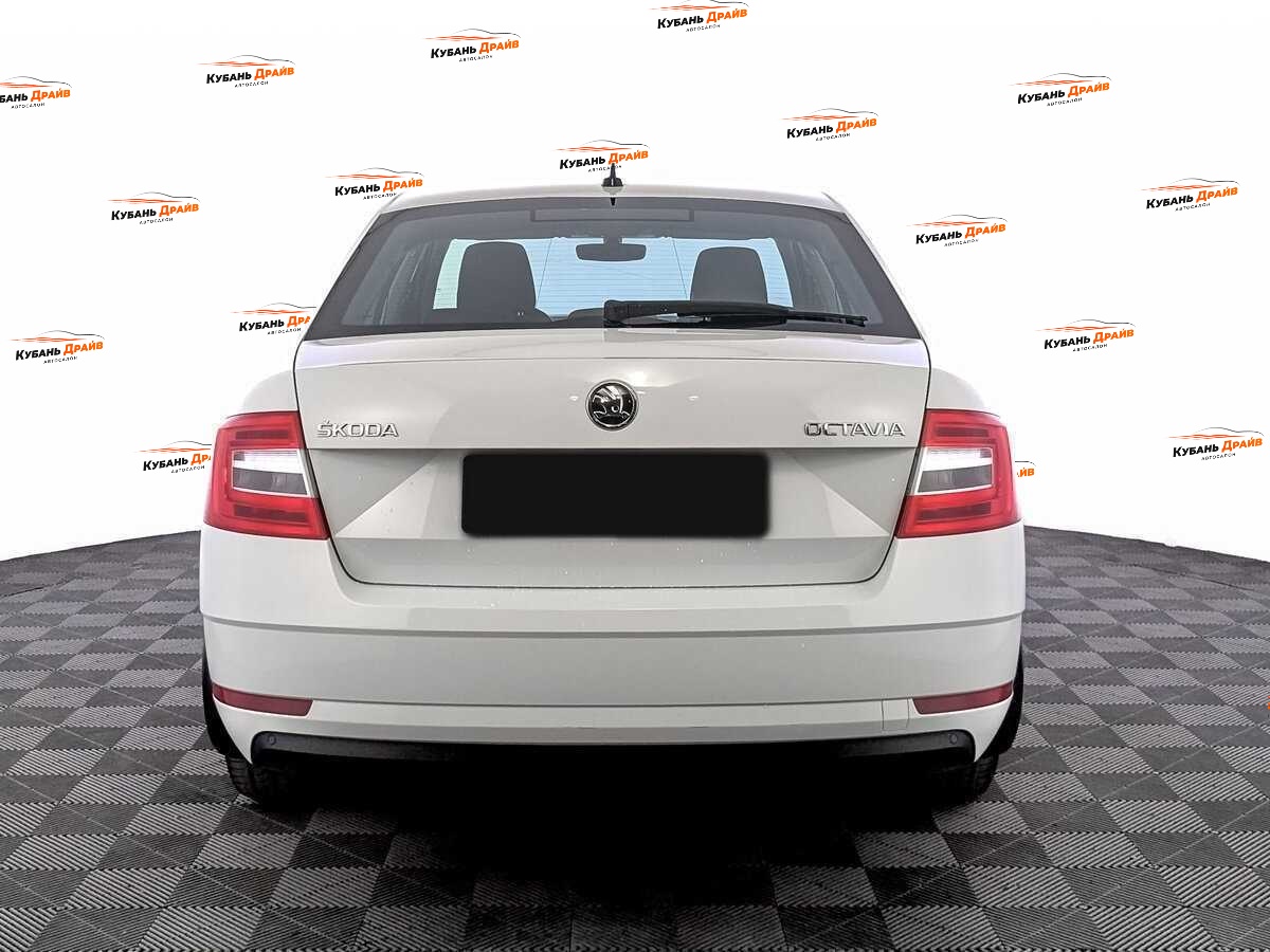 Skoda Octavia 2020 года с пробегом. Фото: #5