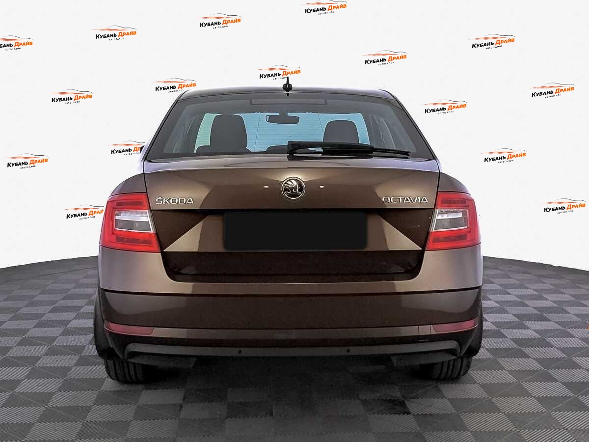 Skoda Octavia 2020 года с пробегом. Фото: #5
