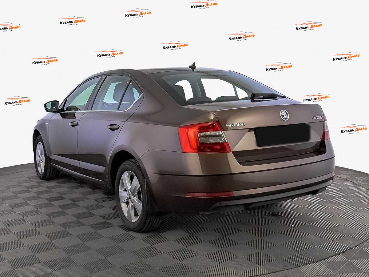 Skoda Octavia 2020 года с пробегом. Фото: #6