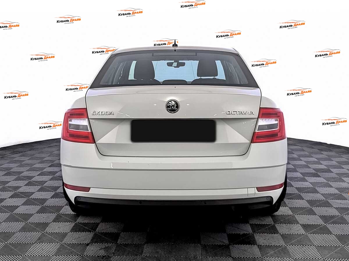 Skoda Octavia 2019 года с пробегом. Фото: #5