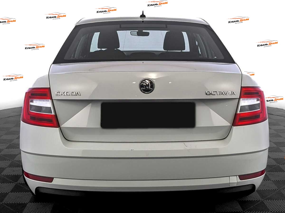 Skoda Octavia 2019 года с пробегом. Фото: #5
