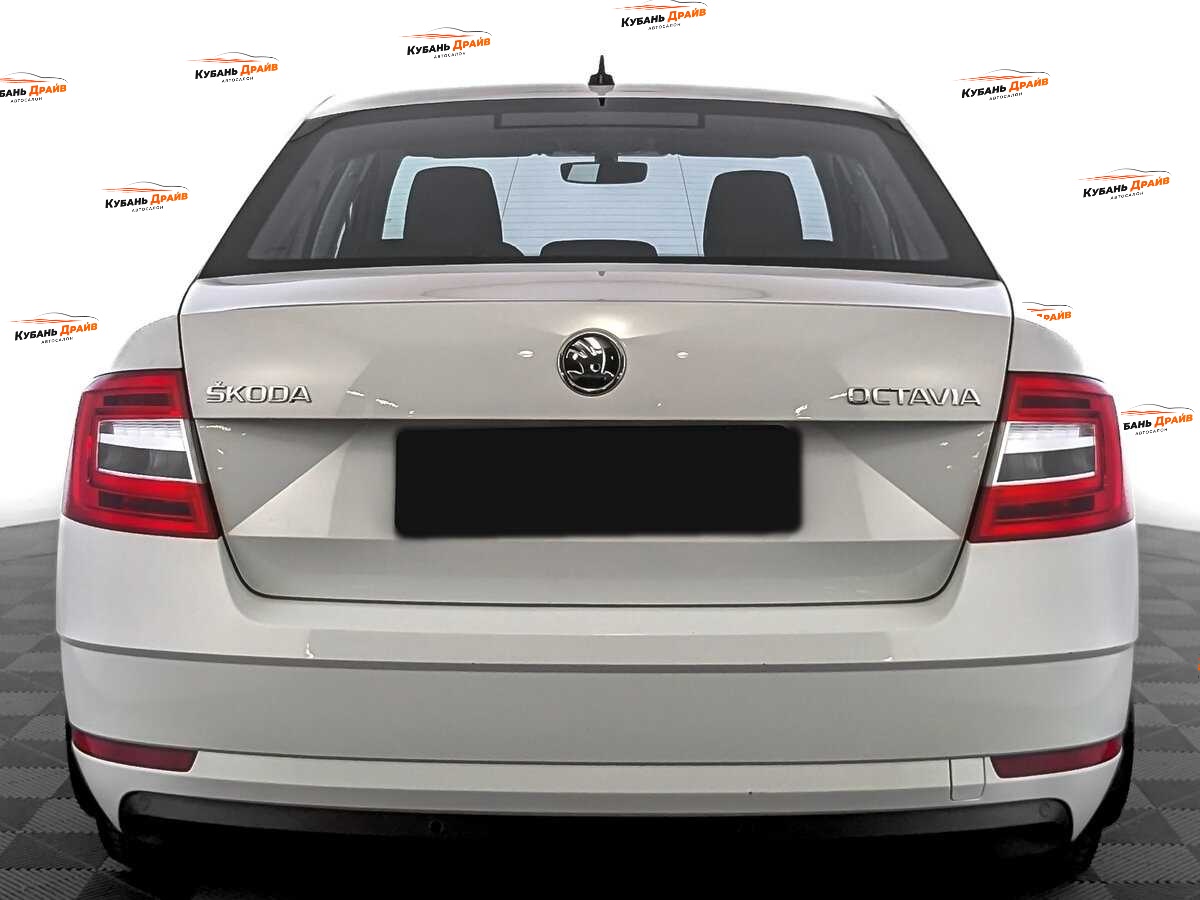 Skoda Octavia 2019 года с пробегом. Фото: #5