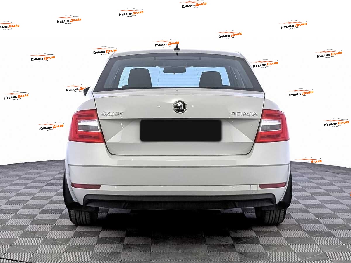 Skoda Octavia 2019 года с пробегом. Фото: #5