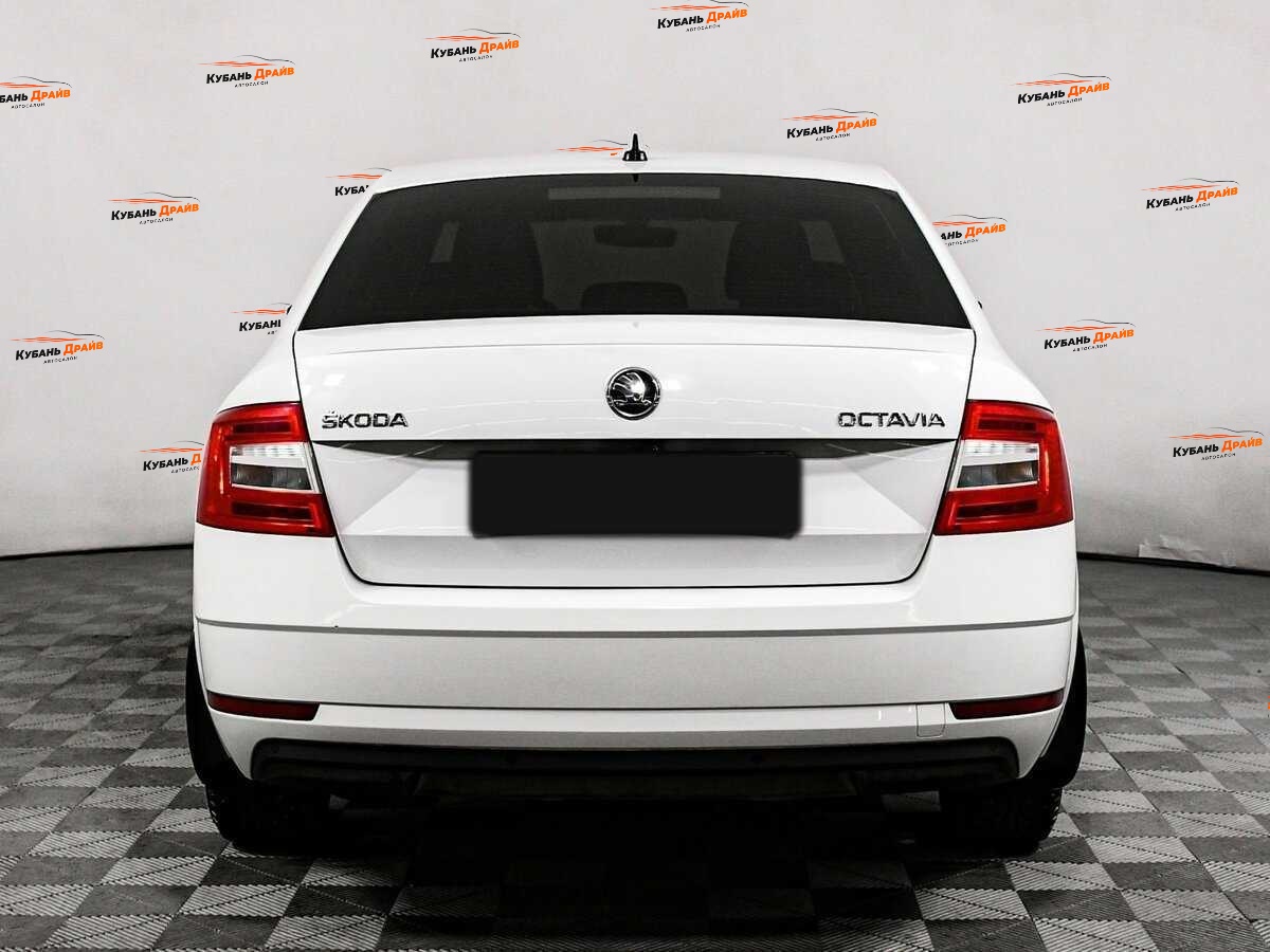 Skoda Octavia 2019 года с пробегом. Фото: #4